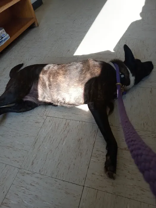 Caldwell, Holley G Picture 1