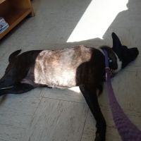 Caldwell, Holley G ico