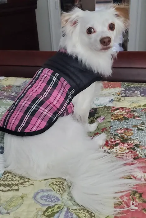 Caldwell, Holley G Picture 4