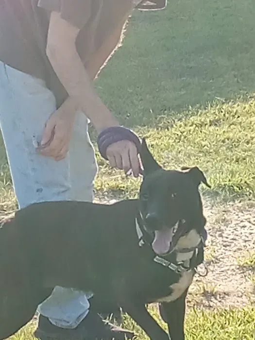 Caldwell, Holley G Picture 3