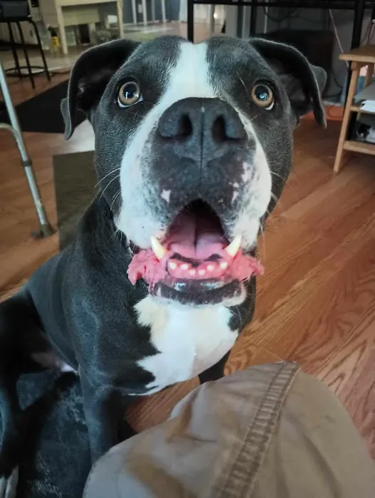 Caldwell, Holley G Picture 6