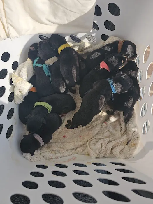 Caldwell, Holley G Picture 10