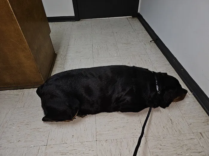 Caldwell, Holley G Picture 9