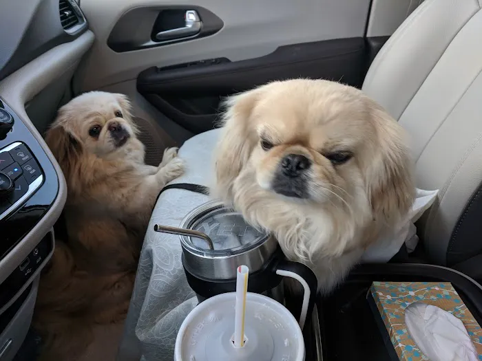 Caldwell, Holley G Picture 8