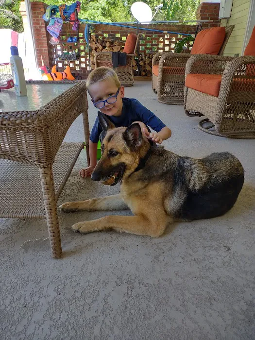 CareVet of Crawford Road Picture 1