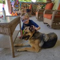 CareVet of Crawford Road ico