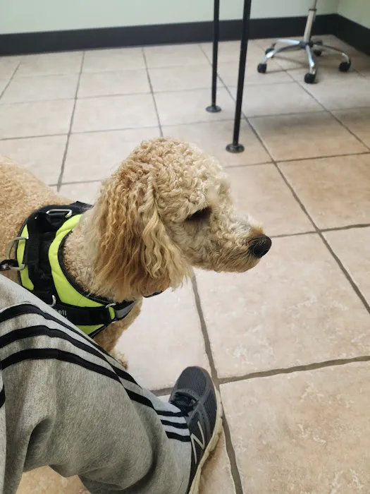 CareVet of Crawford Road Picture 5