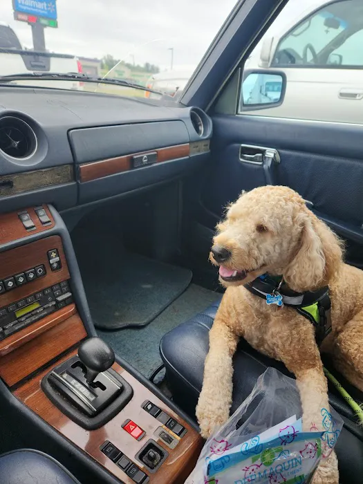 CareVet of Crawford Road Picture 9