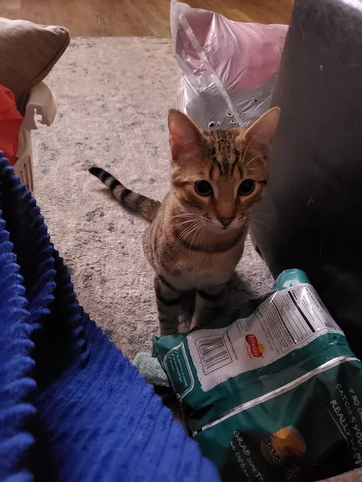 Smiths Station Animal Hospital Picture 1