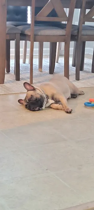 Smiths Station Animal Hospital Picture 2