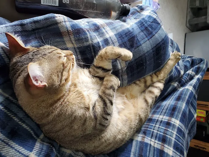 Smiths Station Animal Hospital Picture 6