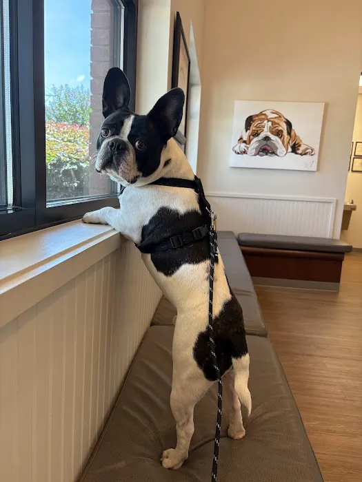 Smiths Station Animal Hospital Picture 4