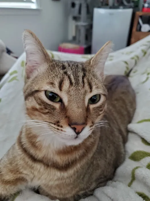 Smiths Station Animal Hospital Picture 3