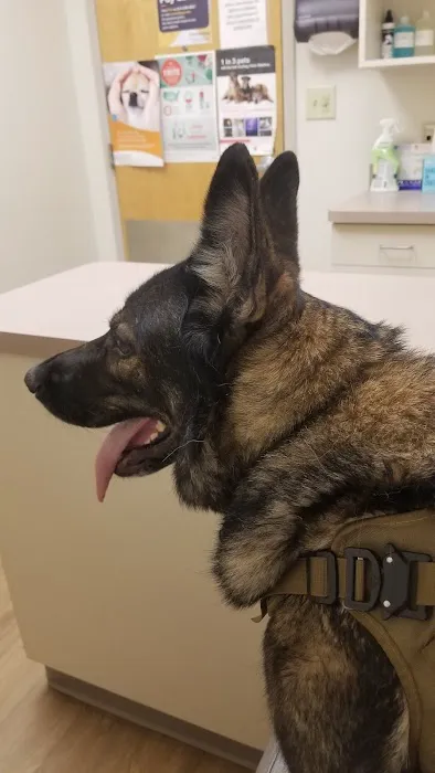 Smiths Station Animal Hospital Picture 8