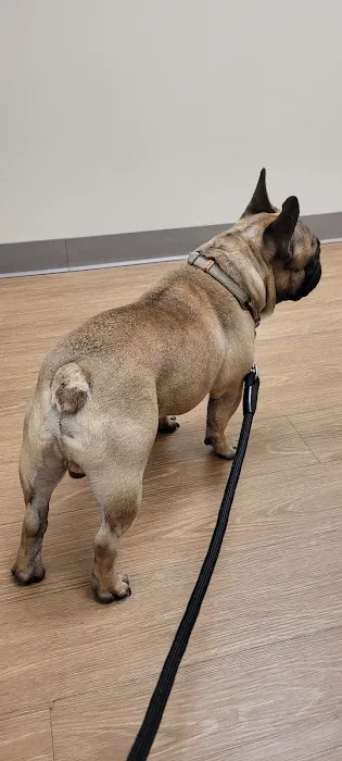 Smiths Station Animal Hospital Picture 7