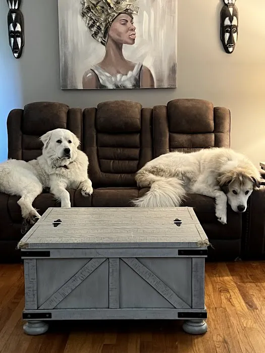 Smiths Station Animal Hospital Picture 9