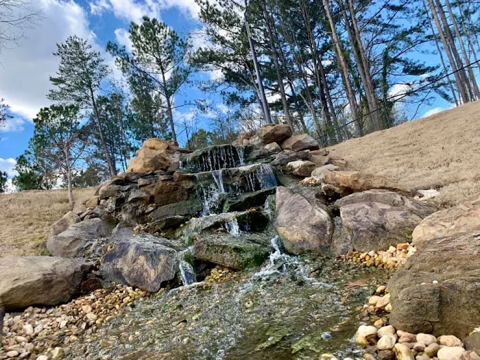 Hueytown Veterinary Clinic & Pet Lodge Picture 3