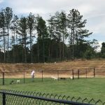 Hueytown Veterinary Clinic & Pet Lodge