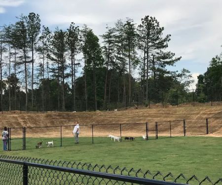 Hueytown Veterinary Clinic & Pet Lodge