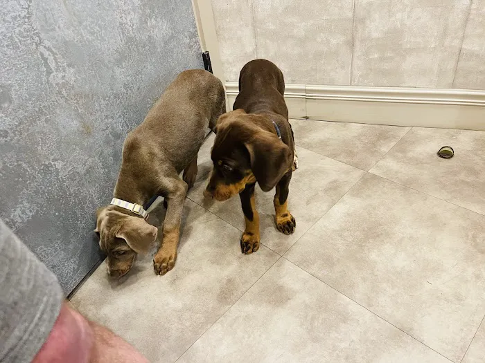 Hueytown Veterinary Clinic & Pet Lodge Picture 4