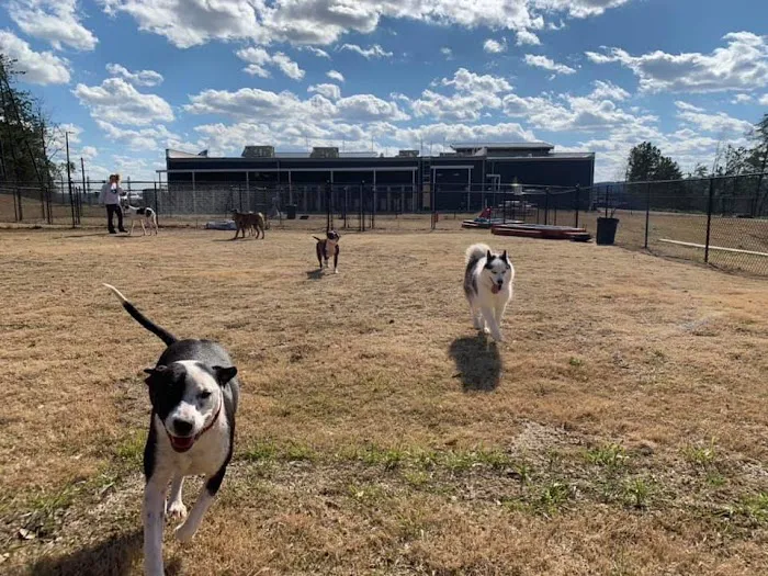 Hueytown Veterinary Clinic & Pet Lodge Picture 5