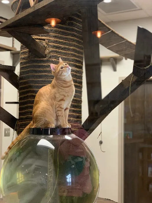 Hueytown Veterinary Clinic & Pet Lodge Picture 8