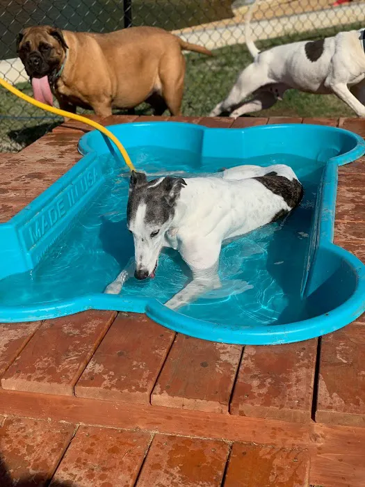 Hueytown Veterinary Clinic & Pet Lodge Picture 7