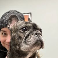 Waukee-Clive Veterinary Clinic ico