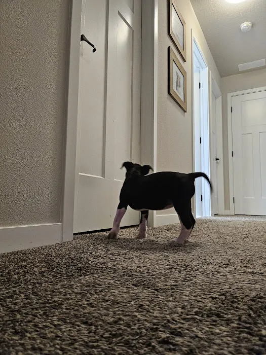 Waukee-Clive Veterinary Clinic Picture 3