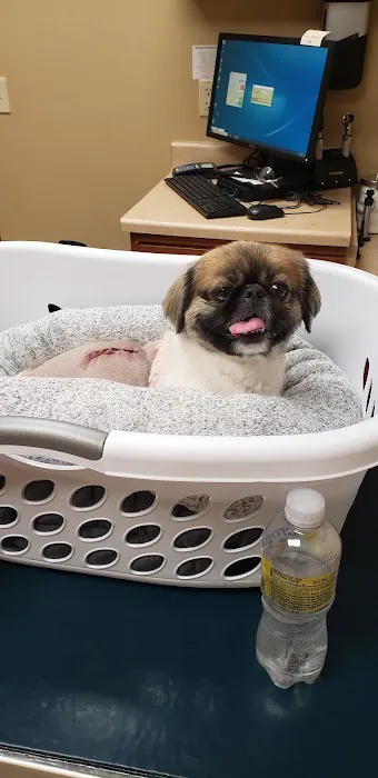 Waukee-Clive Veterinary Clinic Picture 5