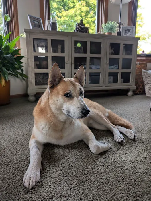 Waukee-Clive Veterinary Clinic Picture 8