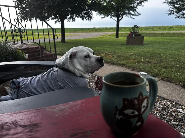 Waukee-Clive Veterinary Clinic Picture 6