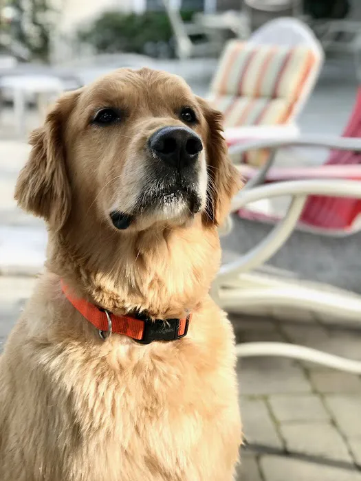 Waukee-Clive Veterinary Clinic Picture 9