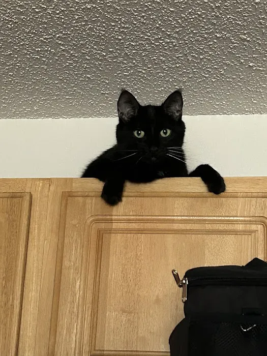 Waukee-Clive Veterinary Clinic Picture 10