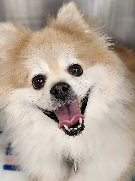 Ashworth Road Animal Hospital Picture 1