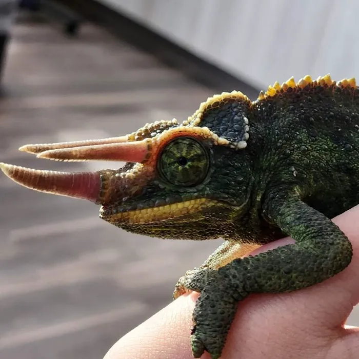 Ashworth Road Animal Hospital Picture 3