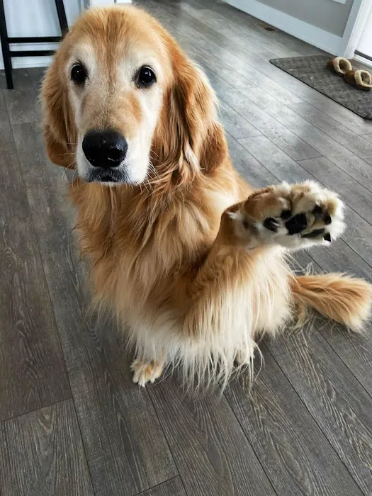 Ashworth Road Animal Hospital Picture 6