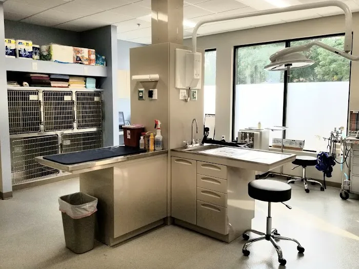 Ashworth Road Animal Hospital Picture 8