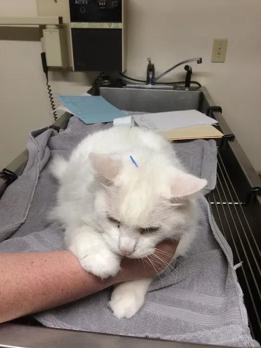 Carroll Small Animal Clinic Picture 2