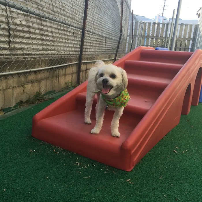 Carroll Small Animal Clinic Picture 6