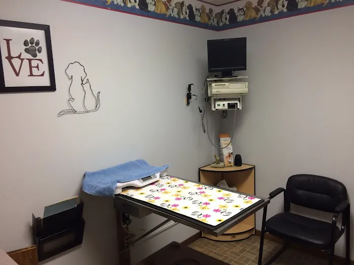Carroll Small Animal Clinic Picture 4