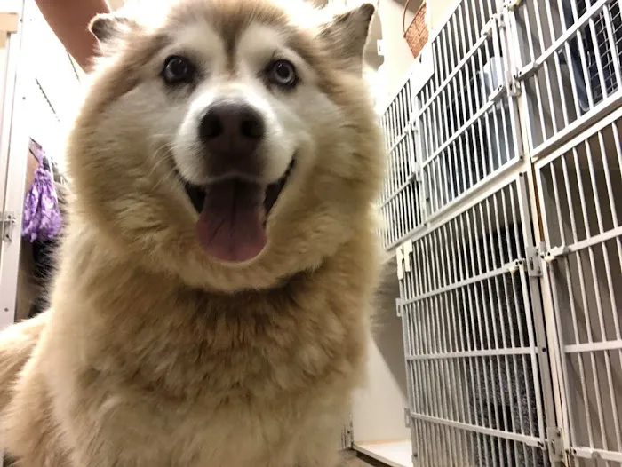 Carroll Small Animal Clinic Picture 8