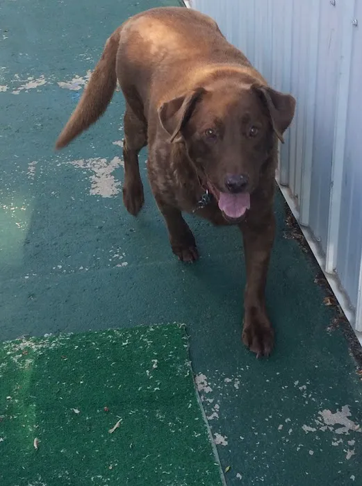 Carroll Small Animal Clinic Picture 9