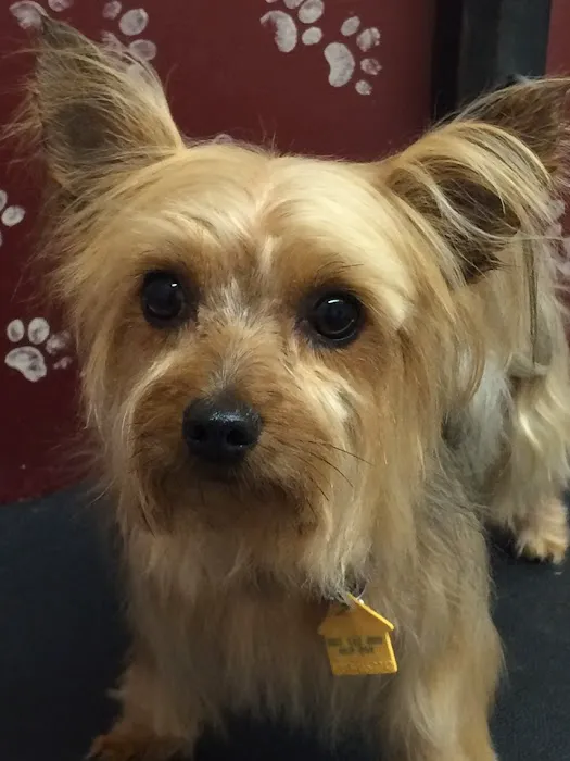 Carroll Small Animal Clinic Picture 7