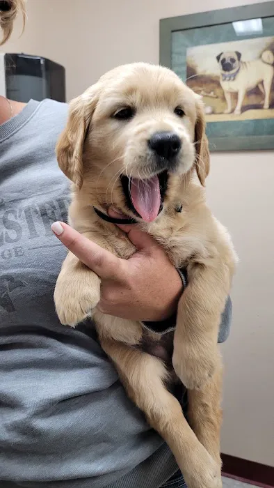 Bullock Veterinary Hospital Picture 2