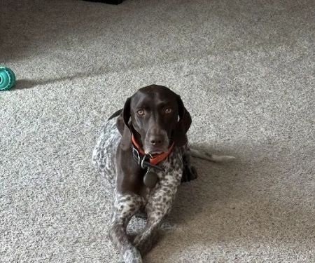 Bullock Veterinary Hospital