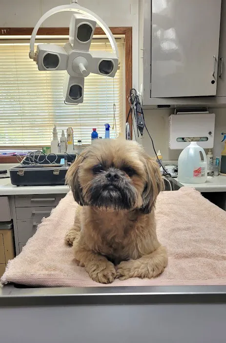 Bullock Veterinary Hospital Picture 4