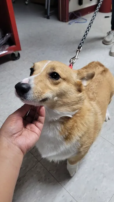 Bullock Veterinary Hospital Picture 5