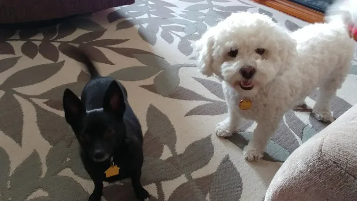 Lake Animal Hospital Picture 3