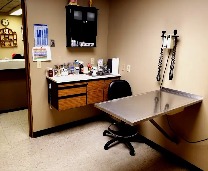 Lake Animal Hospital Picture 5